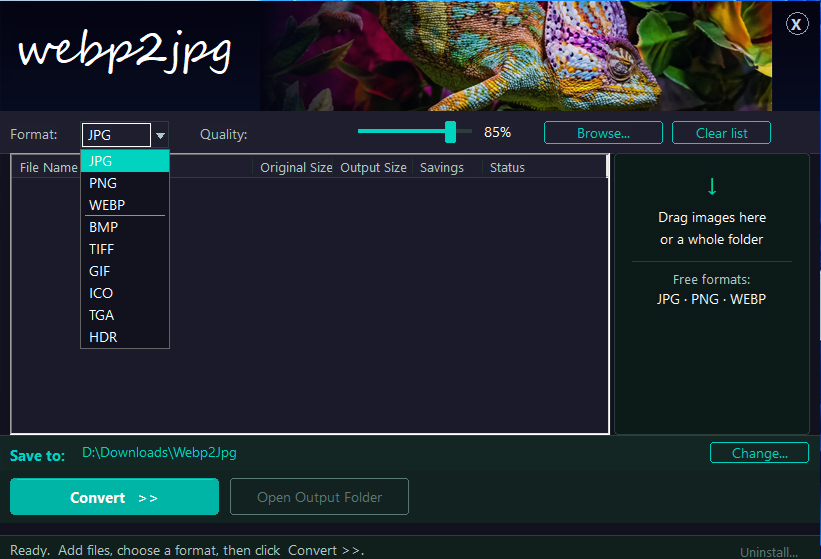 Pro version format list - all 9 formats available including BMP, TIFF, GIF, ICO, TGA and HDR